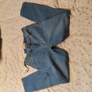 Rolla's Midrise Skinny Jeans